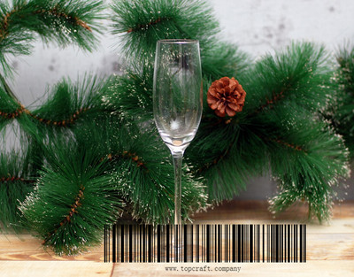 250ml Champagne Goblet.